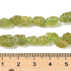 未加工の天然ペリドットビーズ連売り  ナゲット  6~24x7~16x4~10mm  穴：1mm  約25~38個/連  15.35~15.94''（39~40.5センチメートル）&nbsp;G-M453-D12