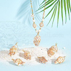 10Pcs Natural Conch Shell Big Pendants&nbsp;FIND-BBC0003-11