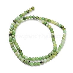 Natural Serpentine Beads Strands&nbsp;G-Z110-C04-4mm