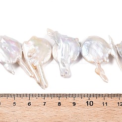 天然バロックケシパールビーズ連売り  ウサギの耳の形  貝殻色  19~35.5x18~62x4~9mm  穴：0.6mm  約18~20個/連  14.96~16''（38~40センチメートル）&nbsp;PEAR-S018-06F