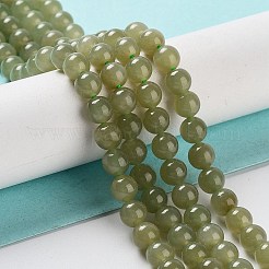 Natural Nephrite Jade/Hetian Jade Beads Strands&nbsp;G-NH0005-030D