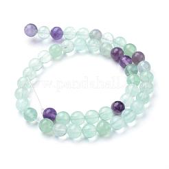 Natural Fluorite Beads Strands&nbsp;G-T055-6mm-22
