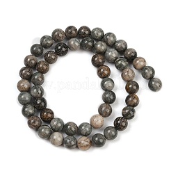 Natural Gemstone Beads Strands&nbsp;G-F792-C11-06