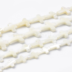 天然トロチッドシェル/トロカスシェルビーズ連売り  クロス  貝殻色  13x8x3mm  穴：0.5mm  約29個/連  14.96''（38センチメートル）&nbsp;SSHEL-K027-02