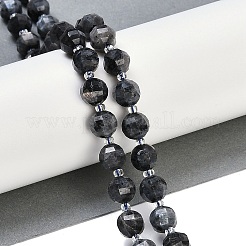 Natural Larvikite Beads Strands&nbsp;G-G182-B38-03