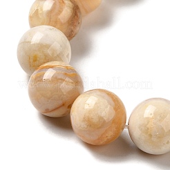 Natural Crazy Lace Agate Beads Strands&nbsp;G-H298-A12-05