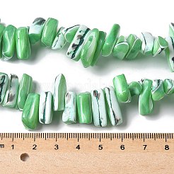 染色された天然トロクスシェルビーズ連売り  ナゲット  ライムグリーン  9~21x5~7x6~8mm  穴：1.2mm  約54~67個/連  14.76~15.24インチ（37.5~38.7cm）&nbsp;SSHEL-C013-09H