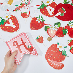 2 Bags 2 Styles Strawberry Paper Hanging Streamer&nbsp;DIY-FH0010-28