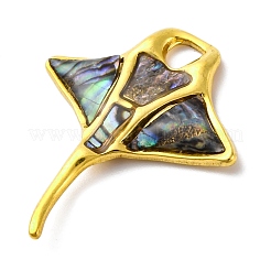 304 Stainless Steel Pave Natural Paua Shell/Abalone Shell Pendants&nbsp;STAS-S163-20G