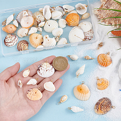 60Pcs 6 Styles Natural Mixed Shell Pendants&nbsp;PALLOY-PH01907