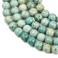 Natural Peruvian Turquoise(Jasper) Beads Strands&nbsp;G-F836-A02-10mm