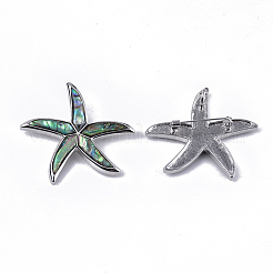 シェルブローチ/ペンダント  樹脂底部と合金パーツ  ヒトデ/海星  プラチナ  カラフル  50x55x12mm  穴：4x6mm  ピン：0.7mm&nbsp;RESI-S376-13A