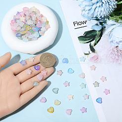 1000Pcs 20 Styles Frosted Acrylic Charms&nbsp;OACR-PA0001-06