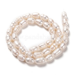 Natural Cultured Freshwater Pearl Beads Strands&nbsp;PEAR-L033-68-01