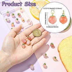 10Pcs 2 Styles Natural Agate Peach Charms&nbsp;KK-CJ0003-24
