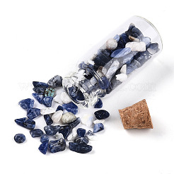 Glass Wishing Bottle Display Decorations&nbsp;AJEW-T013-02D