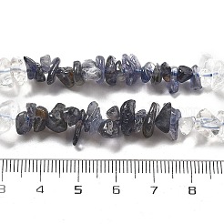 Natural Quartz Crystal & Iolite Beads Strands&nbsp;G-L610-A30-01