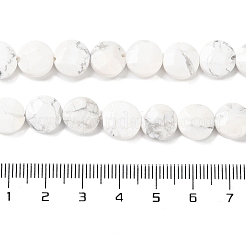 Natural Howlite Beads Strands&nbsp;G-K357-B06-01