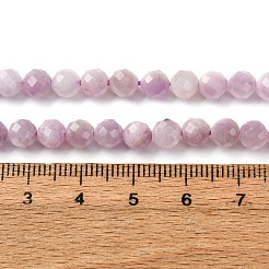 Natural Kunzite Beads Strands&nbsp;G-P587-B01-01