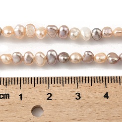 Natural Cultured Freshwater Pearl Beads Strands&nbsp;PEAR-A006-02F