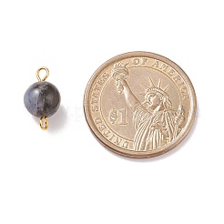 天然グラウコファン コネクタ チャーム  ゴールドトーンの真鍮製ダブルループ付き  ラウンド  15x8.5mm  穴：2mm&nbsp;PALLOY-JF01670