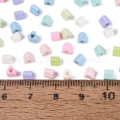FGB Baking Paint Glass Seed Beads&nbsp;SEED-Q040-09A-M01