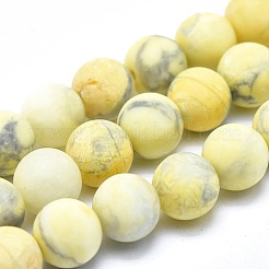 Natural Howlite Bead Strands&nbsp;G-I224-04-8mm