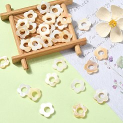 30Pcs Natural Freshwater Shell Beads Frames&nbsp;SHEL-CJ0001-27