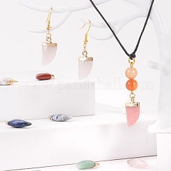 10Pcs 10 Style Natural Gemstone Pendants&nbsp;G-LS0002-14
