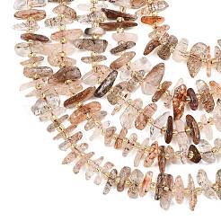 Natural Black Gold Rutilated Quartz Beads Strands&nbsp;G-F821-D01-01