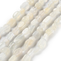 Natural White Moonstone Beads Strands&nbsp;G-P497-01C-65