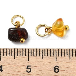 天然琥珀のペンダント  ナゲットチャーム  304ステンレススチール製丸カン付き  ゴールドカラー  7~9x5~7.5x4.5~5mm  穴：3.5mm&nbsp;PALLOY-JF05483