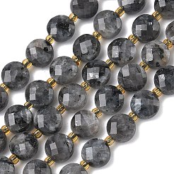 Natural Larvikite Beads Strands&nbsp;G-K389-B85-01