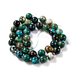 Natural Chrysocolla Beads Strands&nbsp;G-G010-16