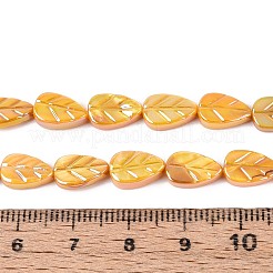 Natural Freshwater Shell Carved Beads Strands&nbsp;SHEL-N038-25F