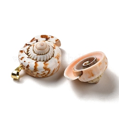 天然スパイラルシェルペンダント  真鍮製のスナップボタンが付いたシェルシェイプチャーム。  ゴールドカラー  23~29.5x18~25x12~16mm  穴：5x3.5mm&nbsp;SSHEL-H071-05G