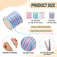 4 Rolls 4 Styles Macaron Color Segment Dyed Nylon Braided Cord&nbsp;NWIR-TA0001-22