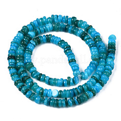 Natural Freshwater Shell Beads Strands&nbsp;SHEL-S278-067B