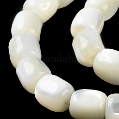 Natural Trochus Shell Beads Strands&nbsp;BSHE-E030-05A