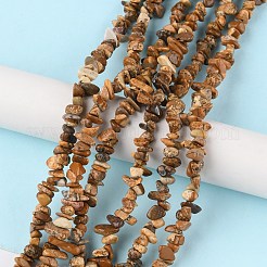 天然石ピクチャージャスパービーズ連売り  チップ  1.5~4.5x3~13x2.5~8mm  穴：0.6mm  30.94~31.97インチ（78.6~81.2cm）&nbsp;G-G0003-B16