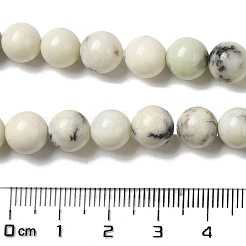 Natural Dendritic Jasper Beads Strands&nbsp;G-H298-A15-03