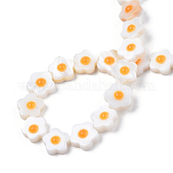 Natural Freshwater Shell Beads Strands&nbsp;SHEL-N003-31B-01