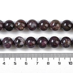 Natural Plum Blossom Tourmaline Beads Strands&nbsp;G-K364-B01-03