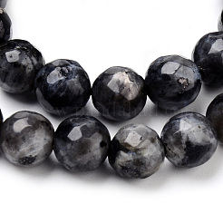 Natural Larvikite Beads Strands&nbsp;G-Q462-83-8mm