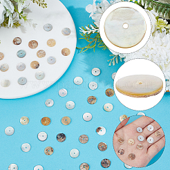 300Pcs Flat Round Natural Akoya Shell Beads&nbsp;SHEL-PA0001-09