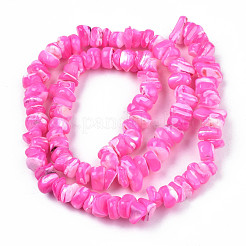 Natural Freshwater Shell Beads Strands&nbsp;SHEL-N003-23-B05