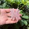 Natural Rose Quartz Carved Figurines Statues for Home Desktop Decoration, Spider, 48mm