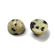 Natural Dalmatian Jasper Cabochons&nbsp;G-H309-03-50-2