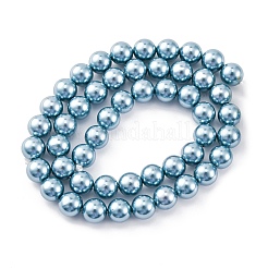 Shell Pearl Beads Strands&nbsp;BSHE-K015-8mm-02