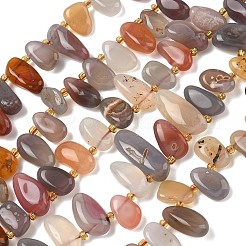 Natural Botswana Agate Beads Strands&nbsp;G-P604-A06-01